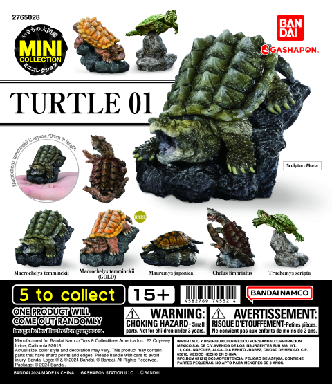 MINI COLLECTION TURTLE 01