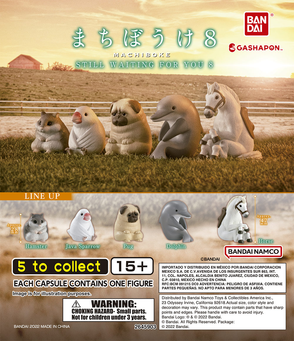 Machiboke 8