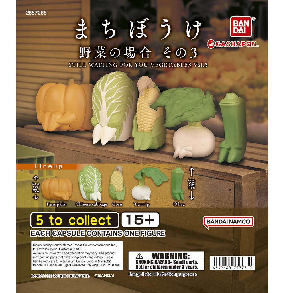 Machiboke Vegetable 1.jpg