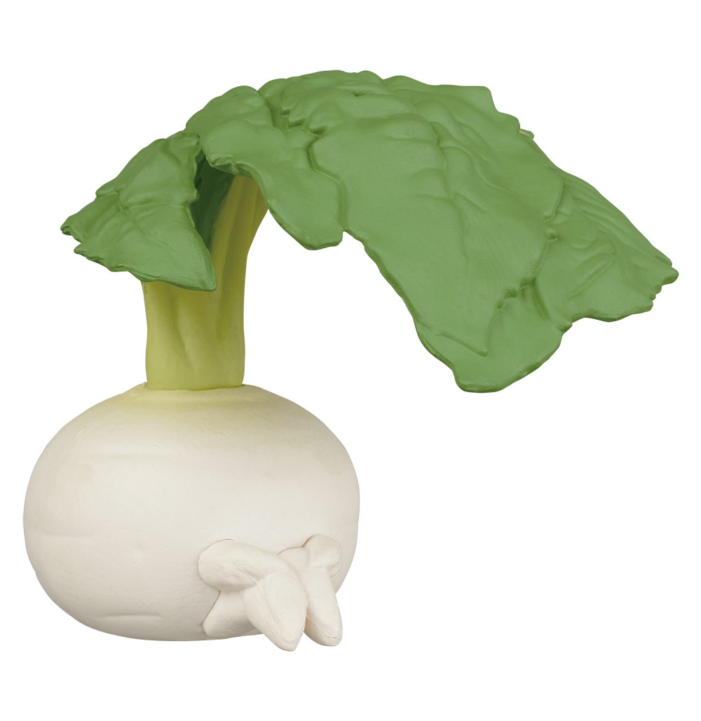 Machiboke Vegetable 5.jpg