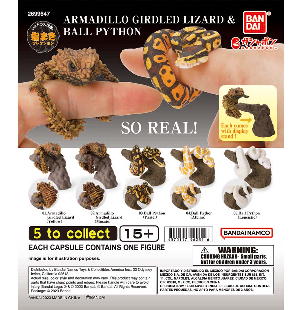 Yubimaki Collection Armadillo Girdled Lizard y Ball Python 1.jpg