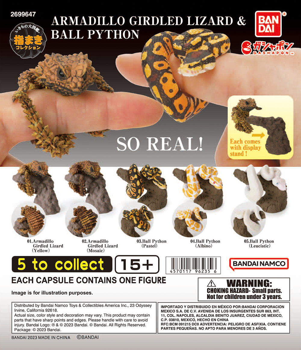 Yubimaki Collection Armadillo Girdled Lizard & Ball Python