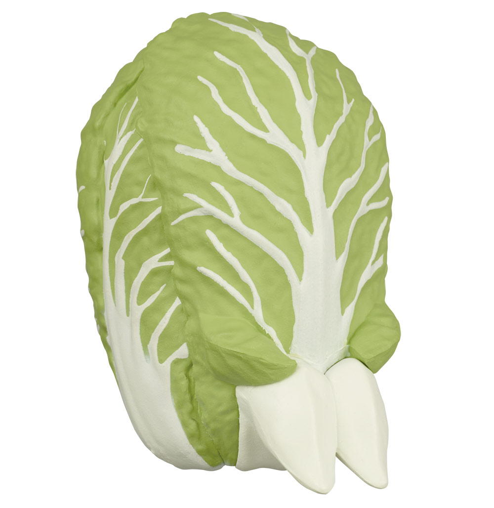 Machiboke Vegetable 3.jpg