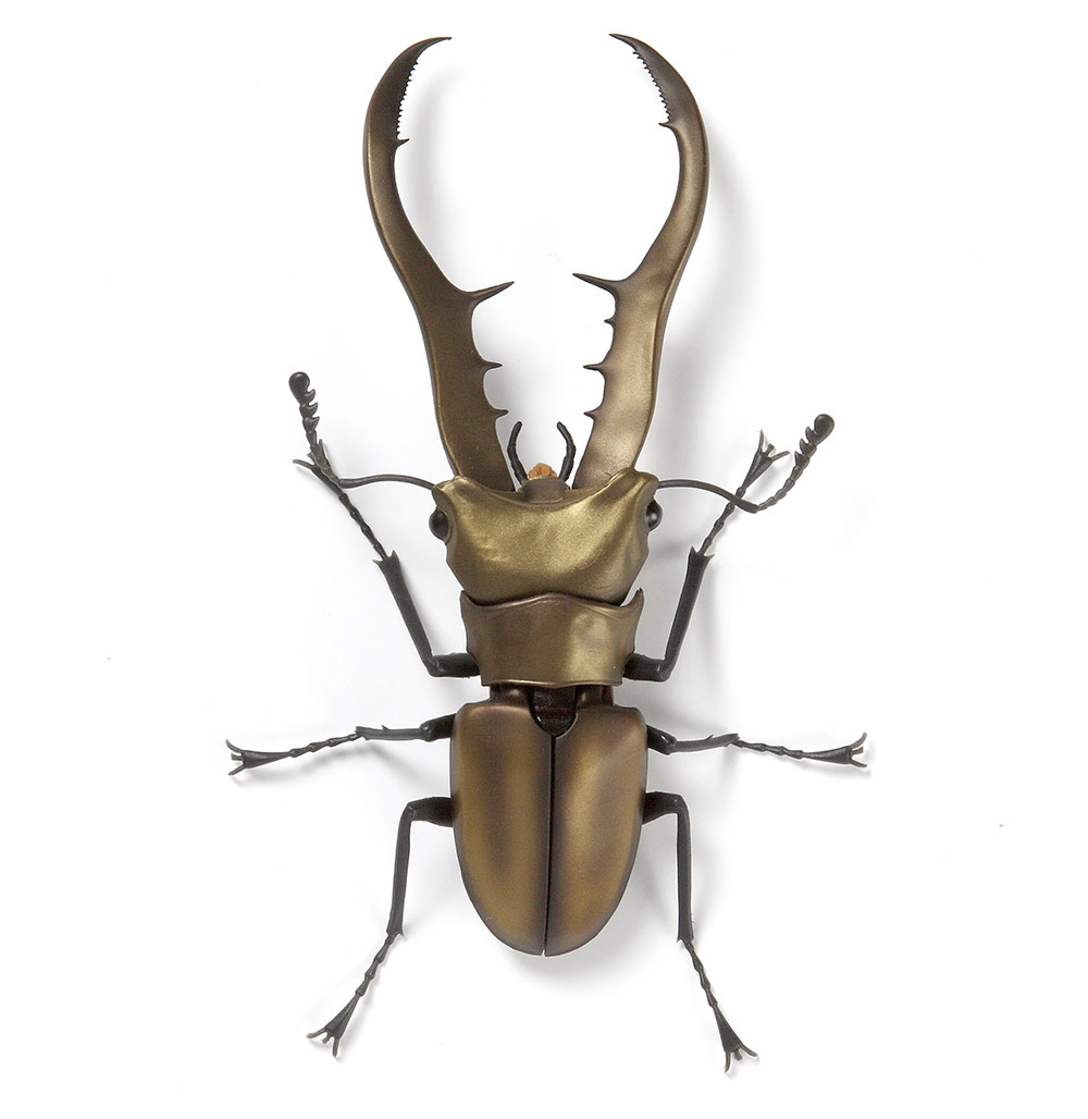 Beetle 10.jpg