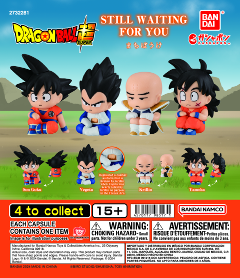DRAGON BALL STILL WAITING FOR YOU