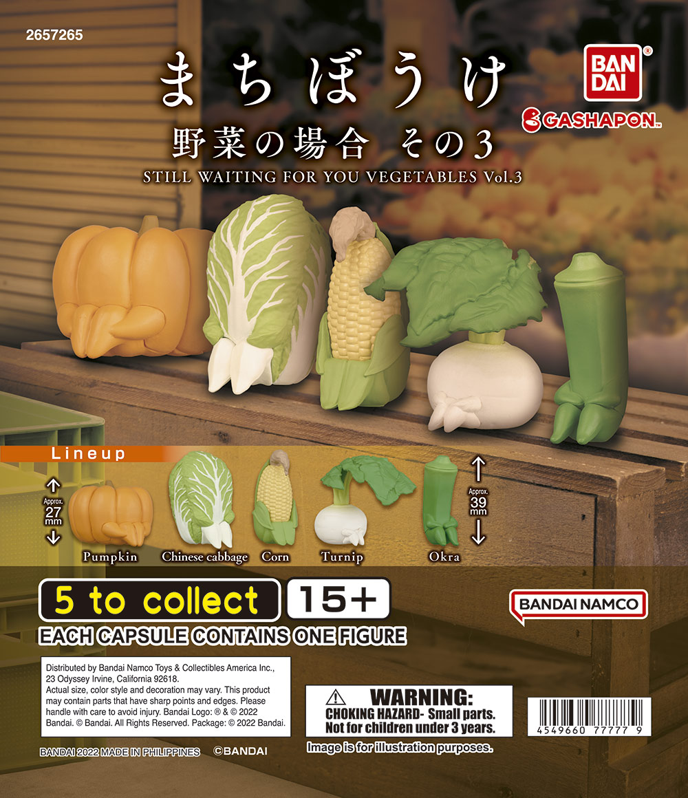 Machiboke Vegetable 3