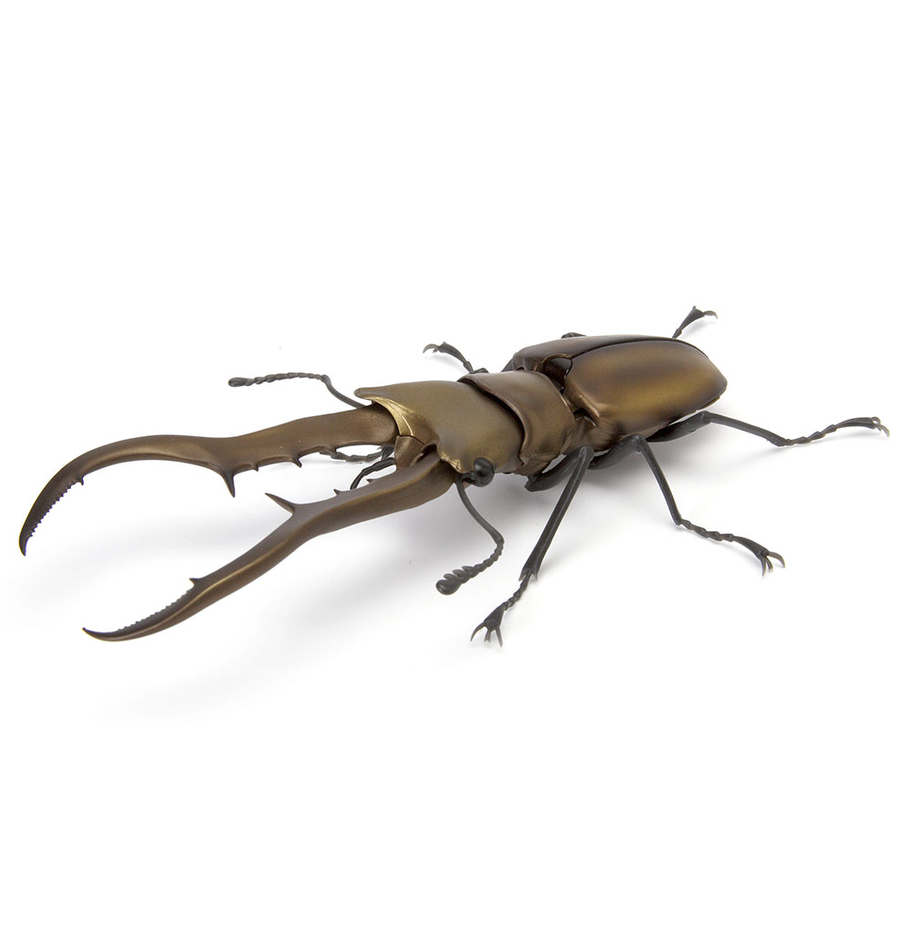 Beetle 11.jpg