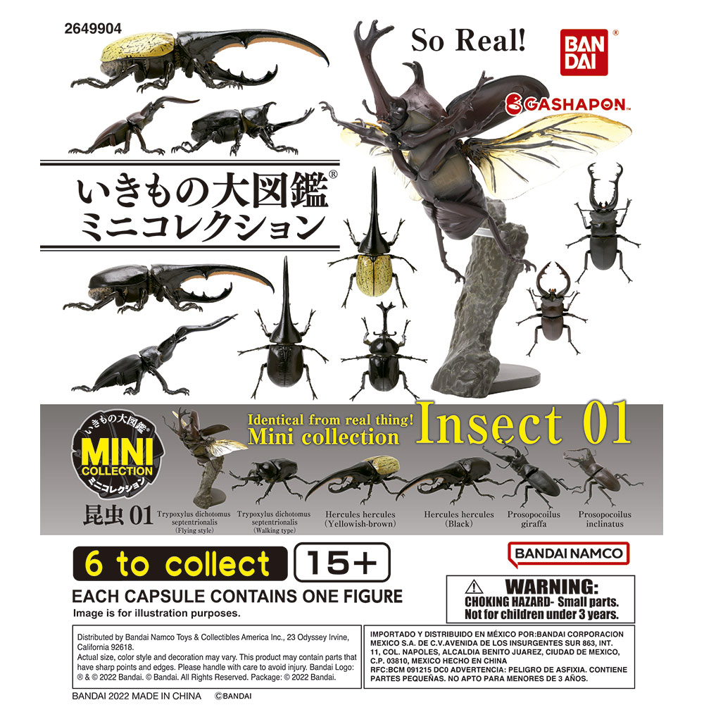 Insect 1.jpg