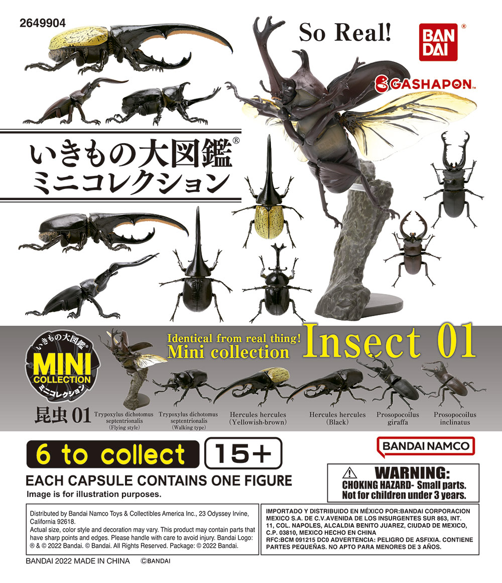 Insect 01