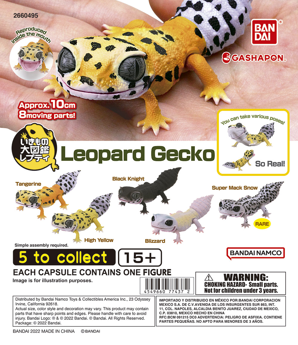 Leopard Gecko