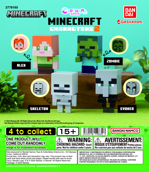 CAPCHARA MINECRAFT 2
