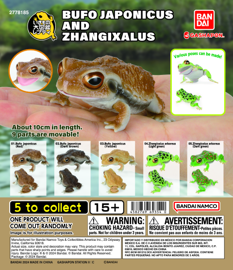 REPTI BUFO JAPONICUS AND ZHANGIXALUS