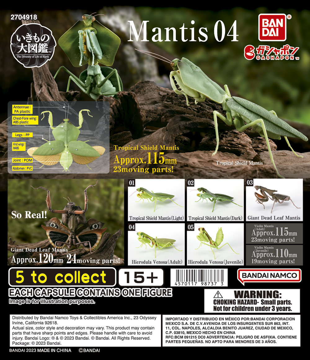 Mantis 4